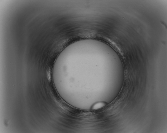 X0000091860069200709121337