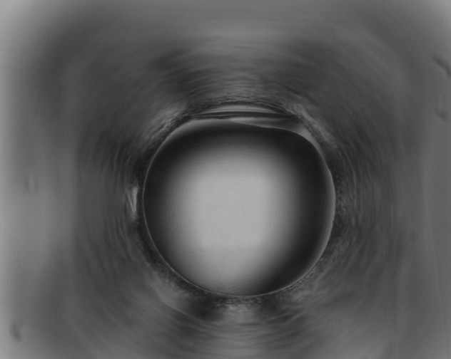 X0000091860070200709121337