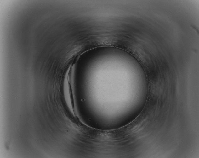 X0000091860071200709121337