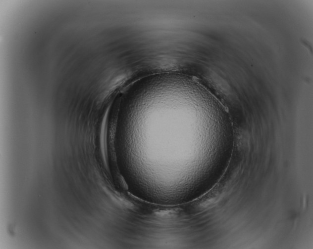 X0000091860072200709121337