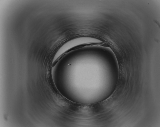 X0000091860074200709121338