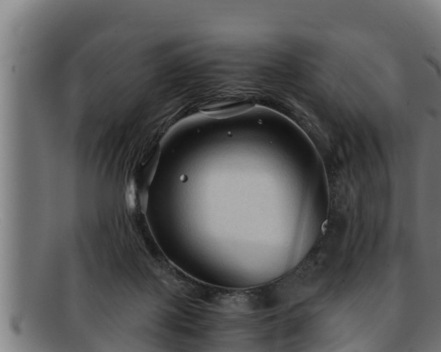 X0000091860075200709121338