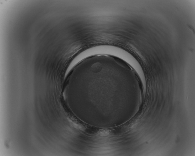 X0000091860076200709121338