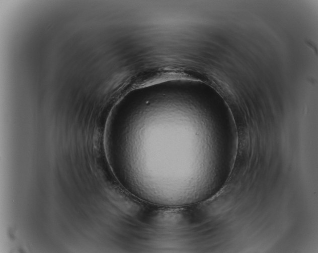 X0000091860078200709121338