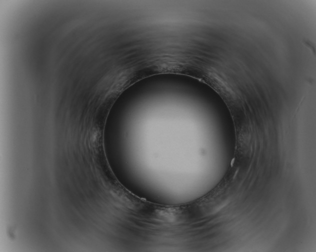 X0000091860079200709121338