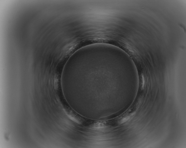 X0000091860080200709121338