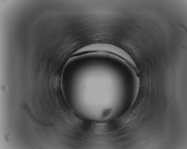 X0000091860081200709121338