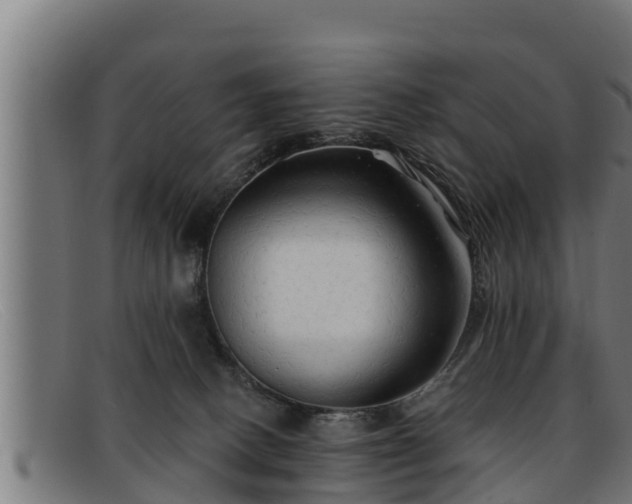 X0000091860082200709121338