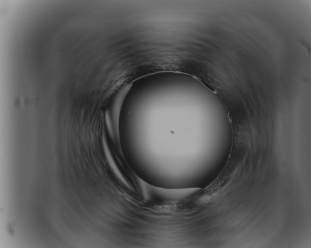 X0000091860084200709121338