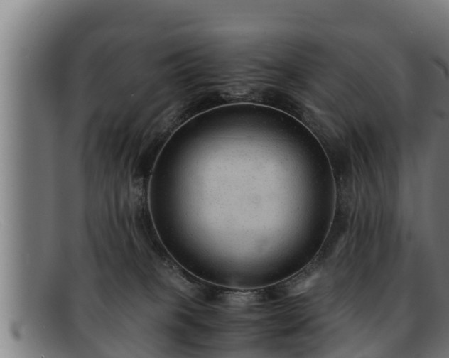 X0000091860085200709121338