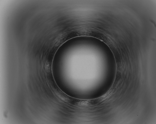 X0000091860086200709121338