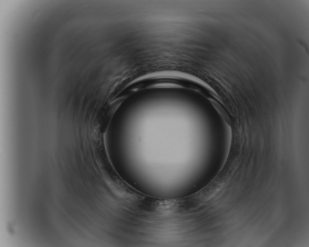 X0000091860088200709121338