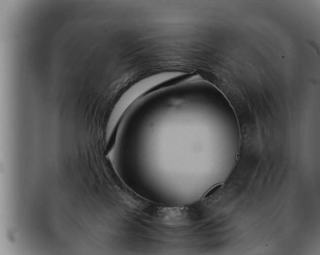 X0000091860089200709121338