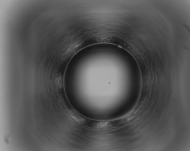 X0000091860090200709121338