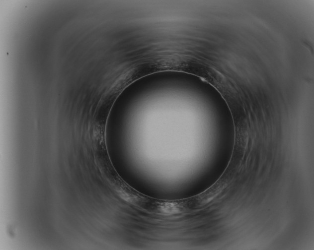 X0000091860091200709121338