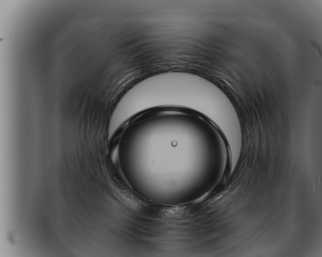 X0000091860092200709121338