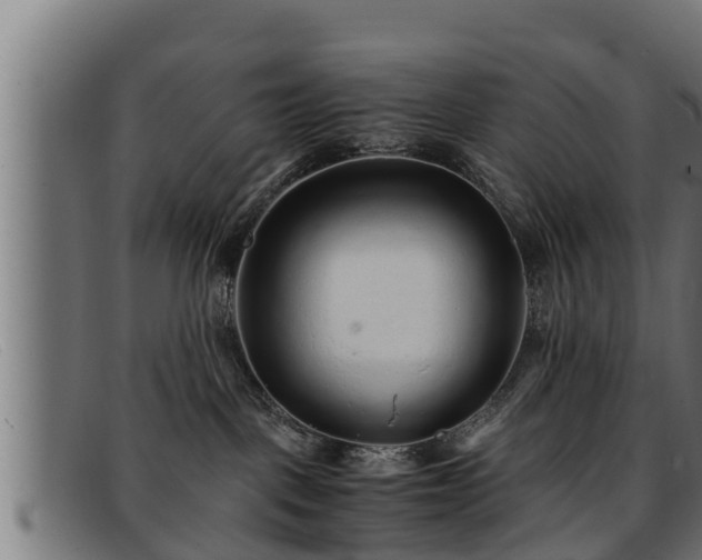 X0000091860093200709121338