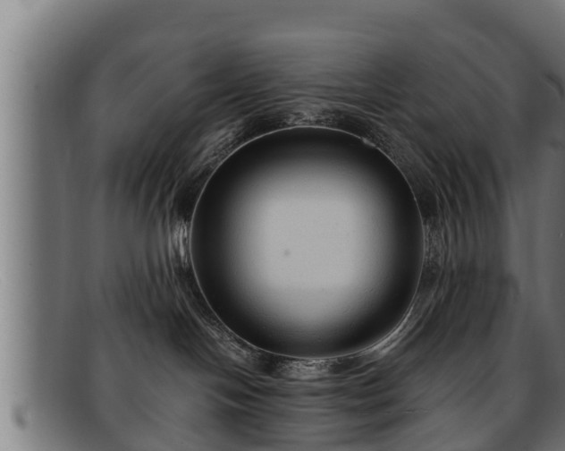 X0000091860094200709121338