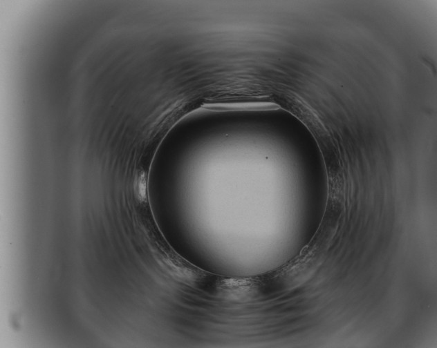 X0000091860095200709121338