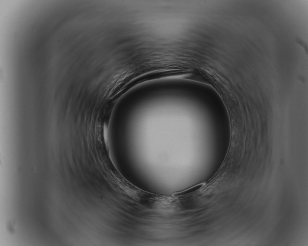 X0000091860096200709121338