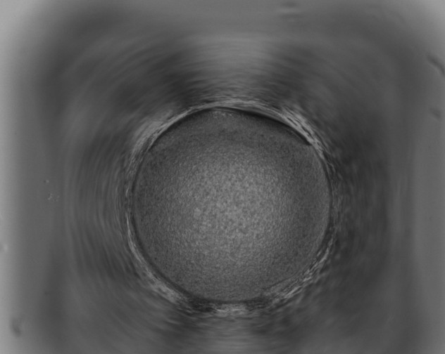 X0000091860097200709121337