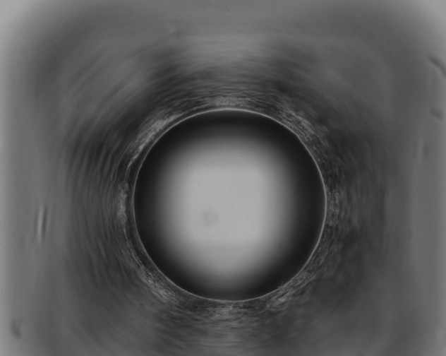 X0000091860098200709121337