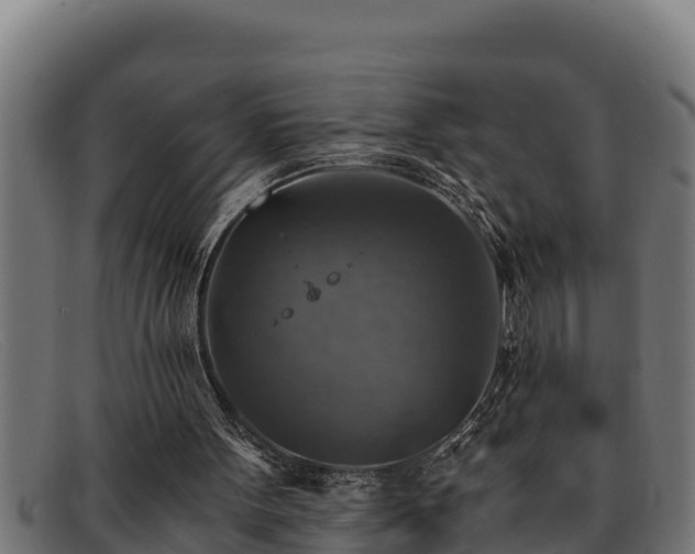 X0000091860099200709121337