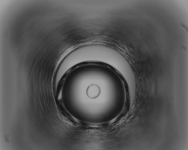 X0000091860100200709121337