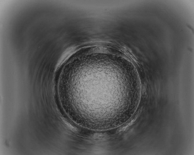 X0000091860101200709121337