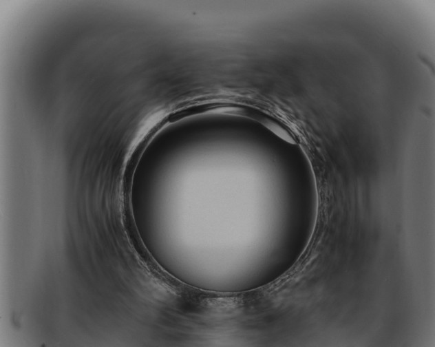 X0000091860102200709121337