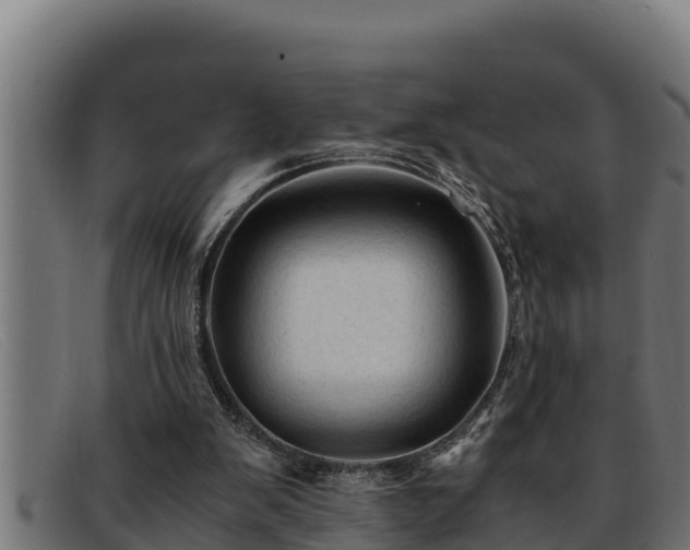 X0000091860103200709121337