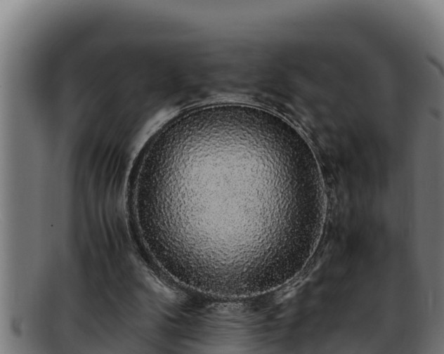 X0000091860104200709121337