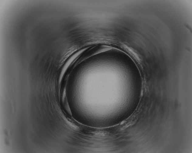 X0000091860105200709121337