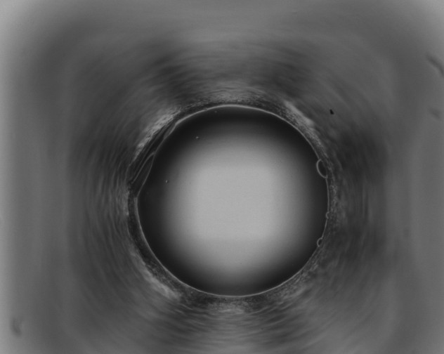 X0000091860106200709121337