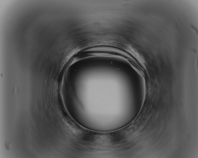 X0000091860107200709121337