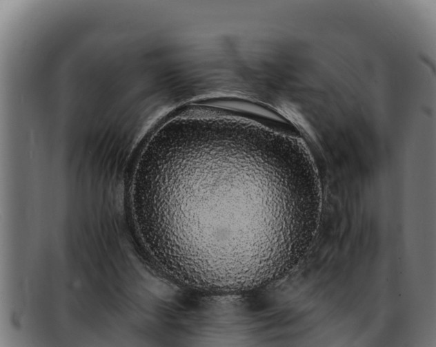 X0000091860108200709121337