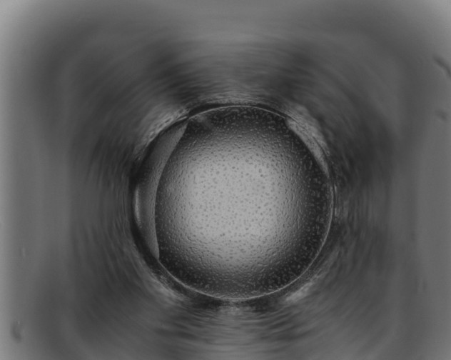 X0000091860109200709121337