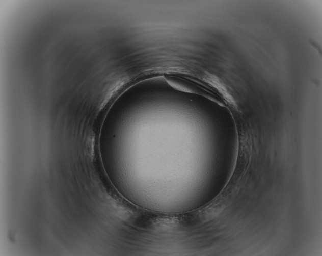 X0000091860110200709121337