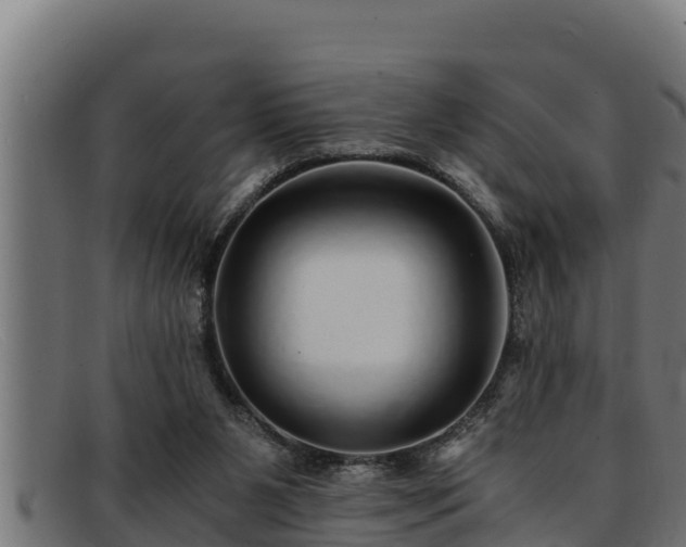 X0000091860111200709121337