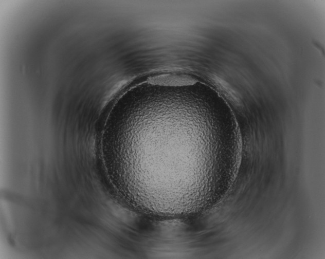 X0000091860112200709121337