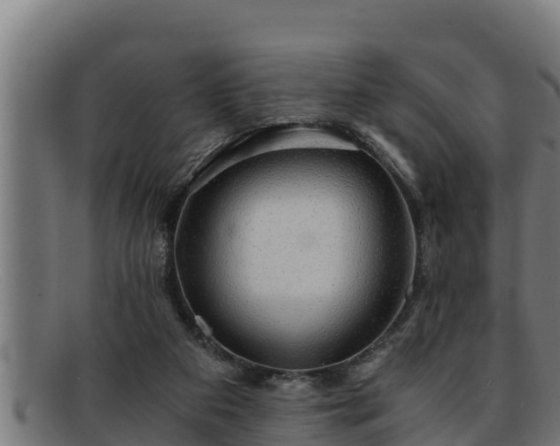 X0000091860113200709121337