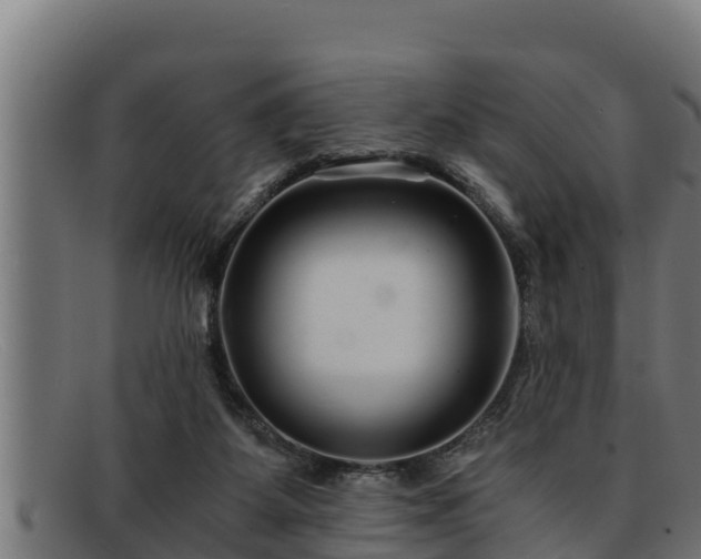 X0000091860115200709121337