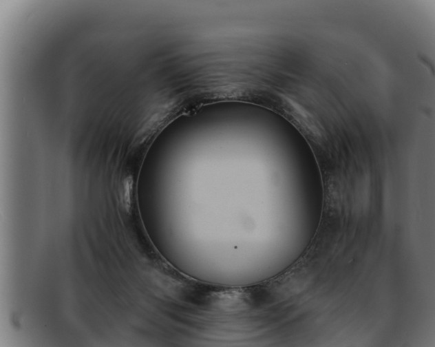 X0000091860118200709121337