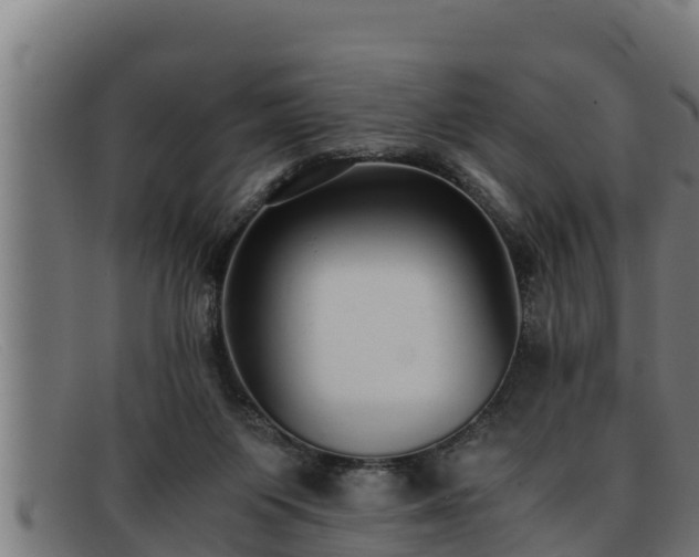 X0000091860119200709121337