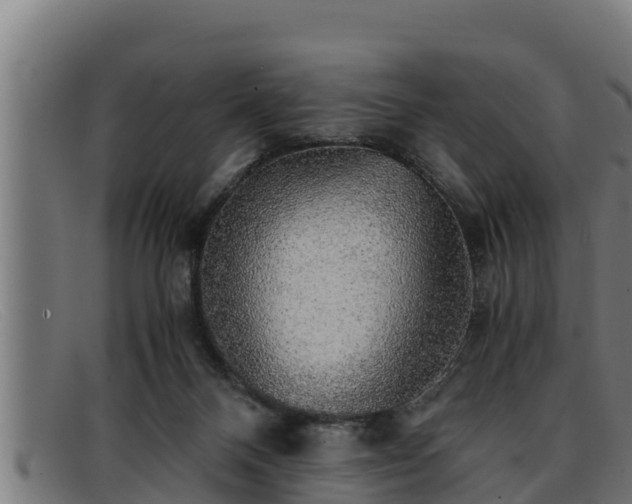 X0000091860120200709121337