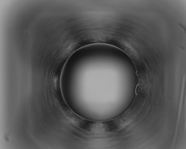 X0000091860123200709121337