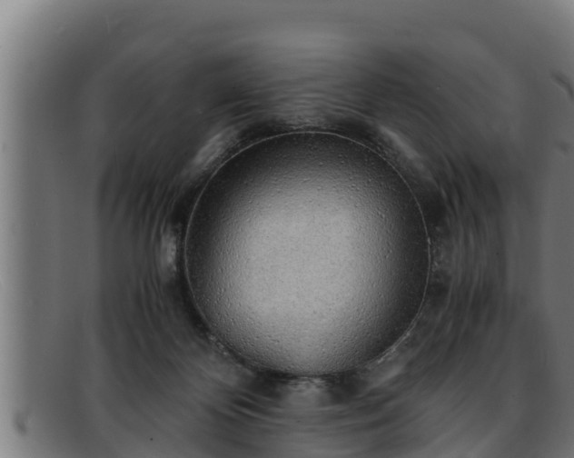 X0000091860124200709121337