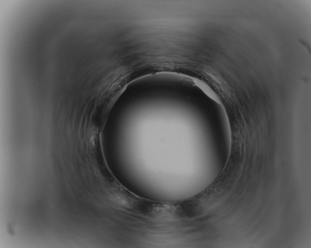 X0000091860125200709121337