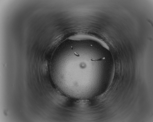 X0000091860128200709121337