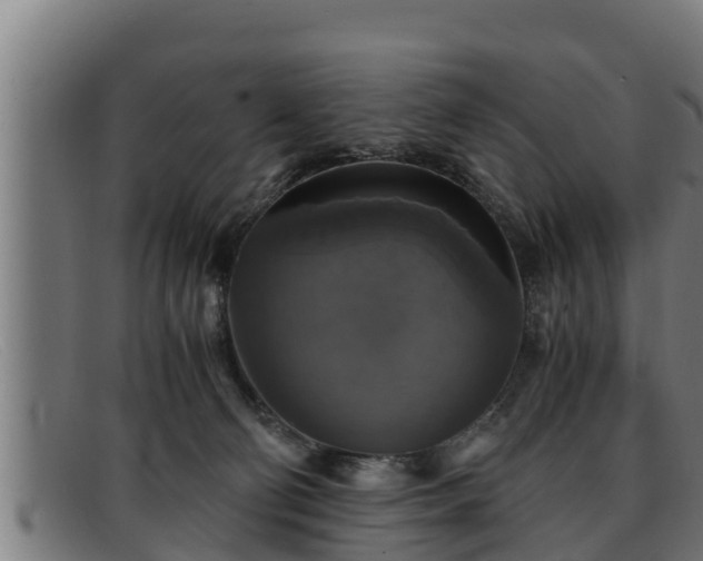 X0000091860130200709121337